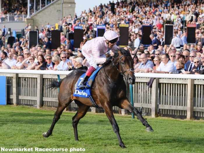 Champion Too Darn Hot Back In The Right Place Aims For Breeders Cup Berth In Sussex