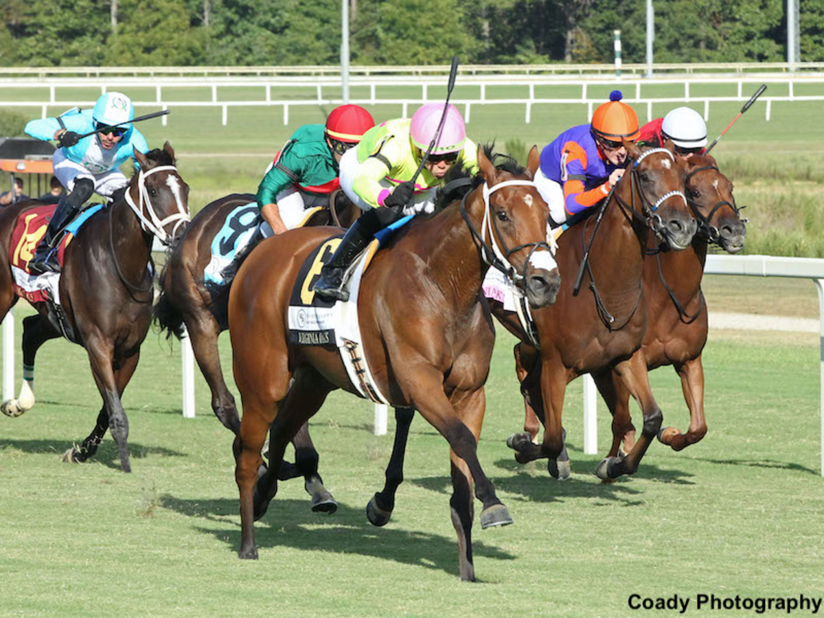 Irad Ortiz Jr Wins Six Stakes En Route To Jockey Of The Week Title