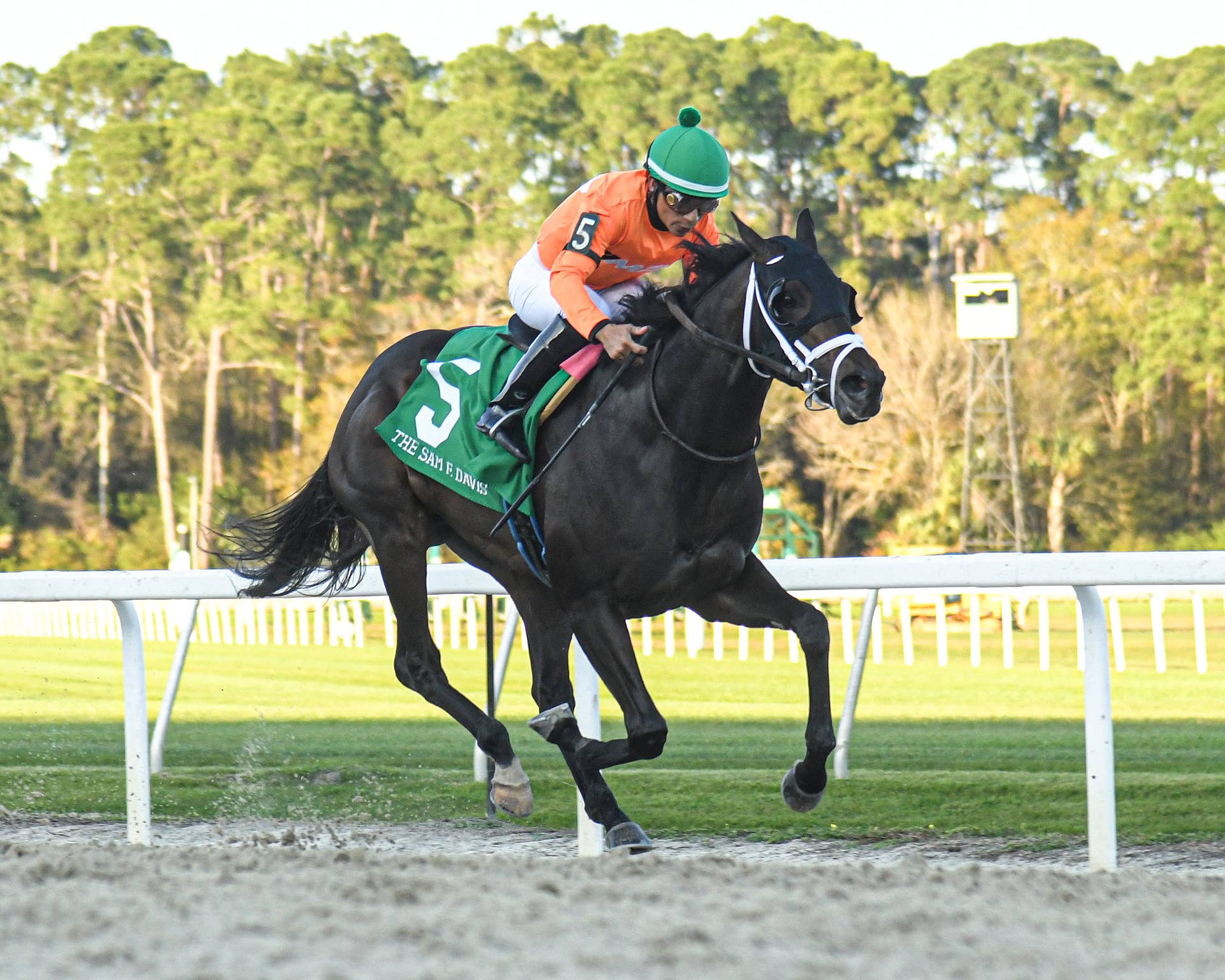 Racing's 'Royal Babies': Zenyatta, Rachel Alexandra 2-Year-Olds