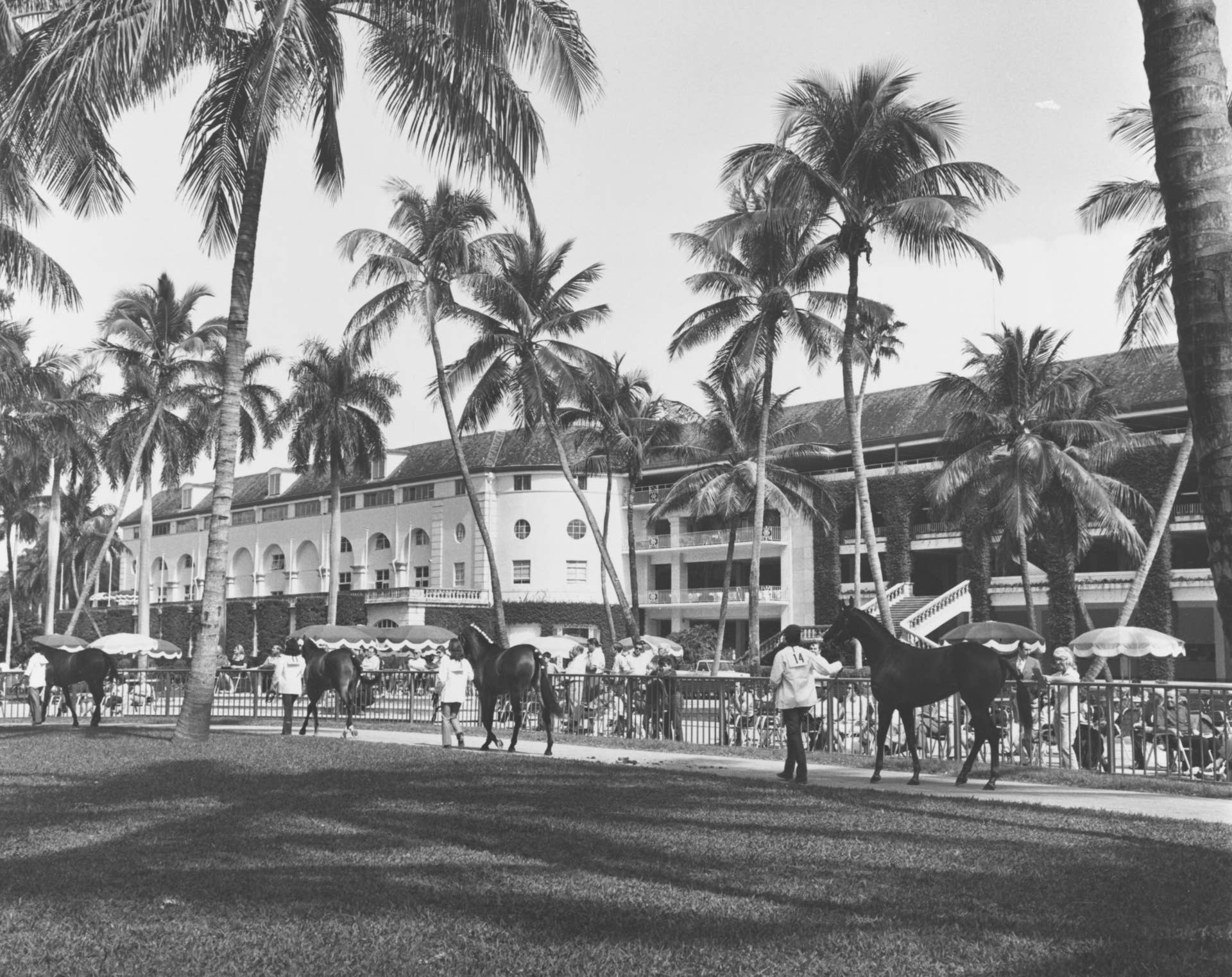 This Week In History: The Glory Days Of Hialeah Park In 1966 - Paulick ...