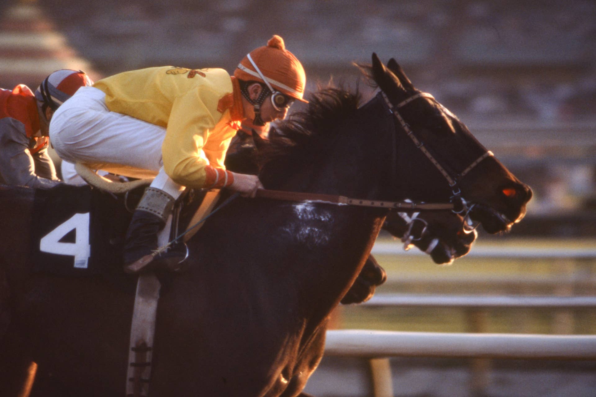 This Week In History: A World Record At…Turf Paradise? - Paulick