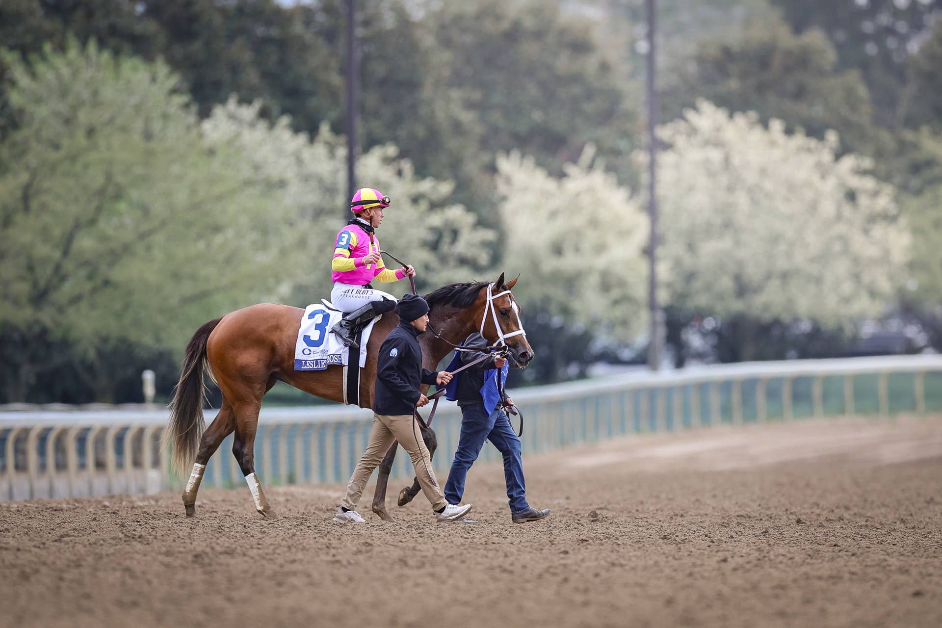 Ashland: Leslie's Rose Earns Kentucky Oaks Berth For Mandy Pope ...