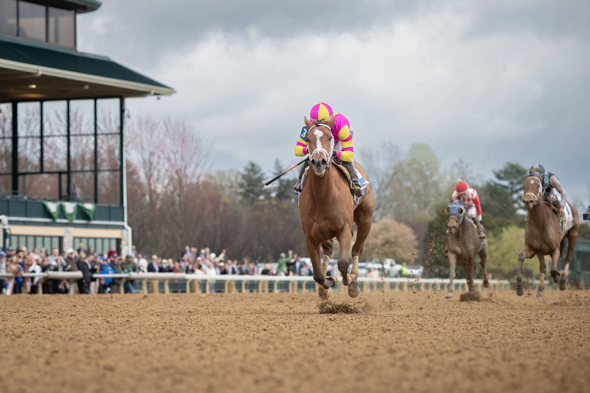Ashland: Leslie's Rose Earns Kentucky Oaks Berth For Mandy Pope ...