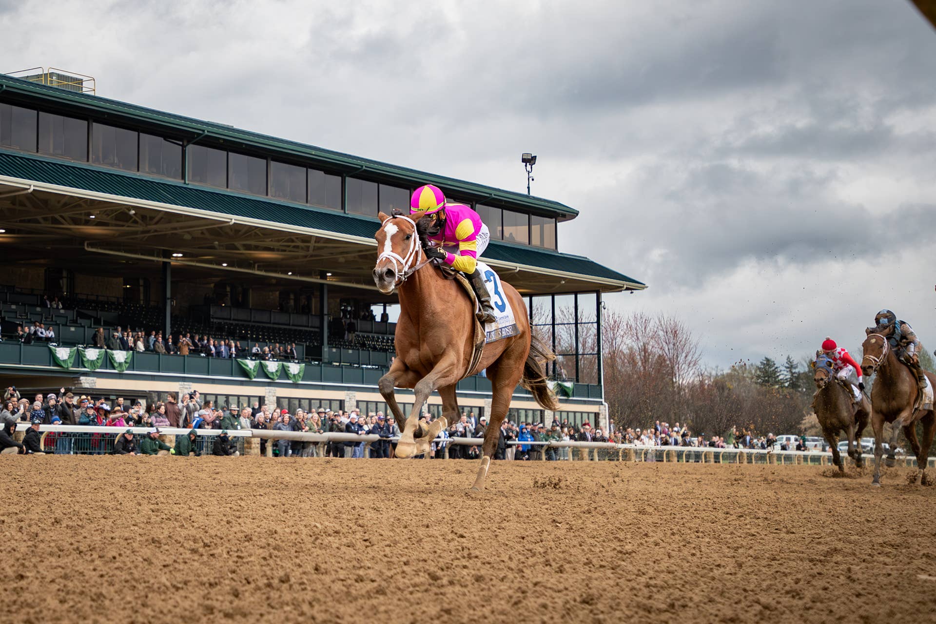 Ashland: Leslie's Rose Earns Kentucky Oaks Berth For Mandy Pope ...
