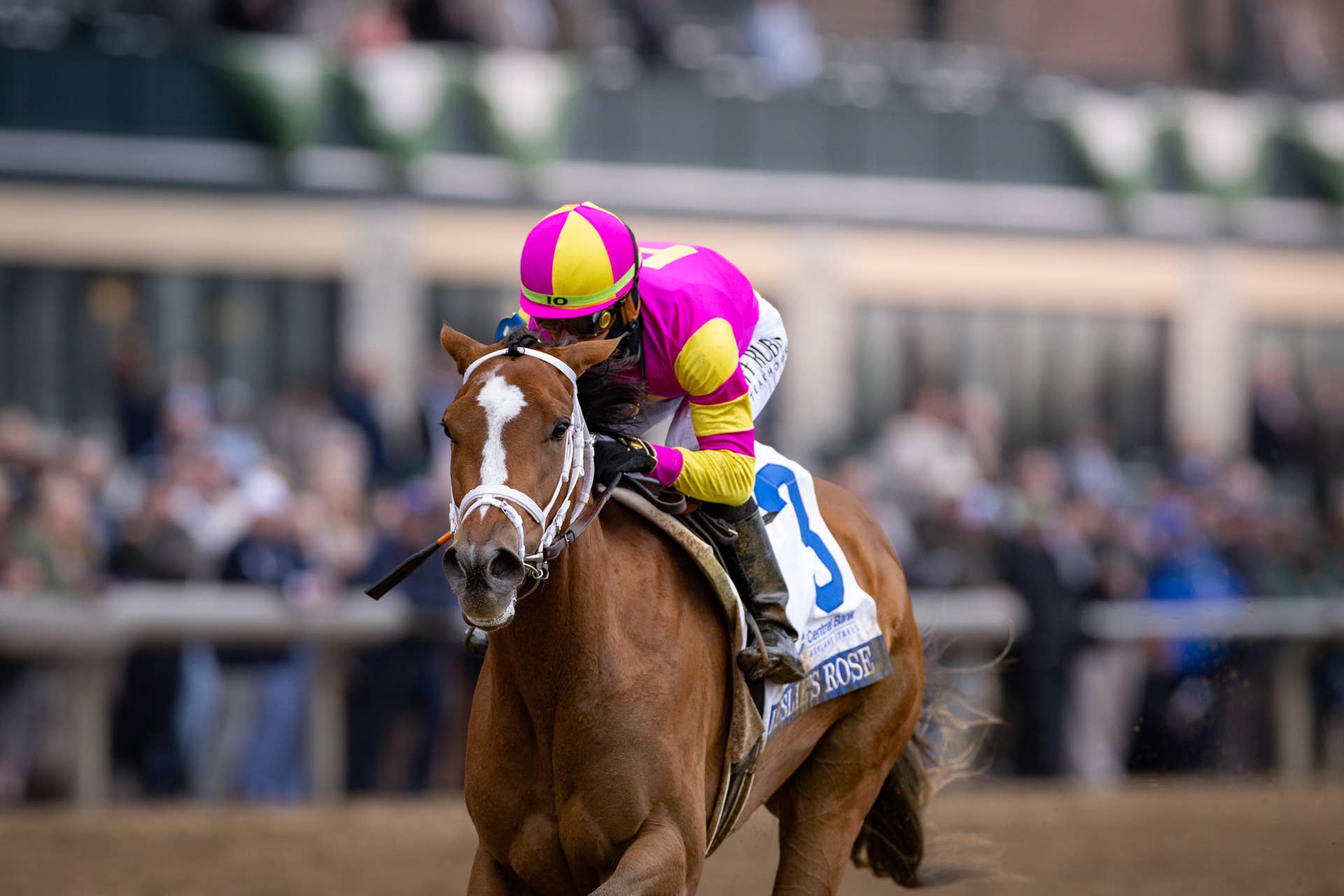 Ashland: Leslie's Rose Earns Kentucky Oaks Berth For Mandy Pope ...