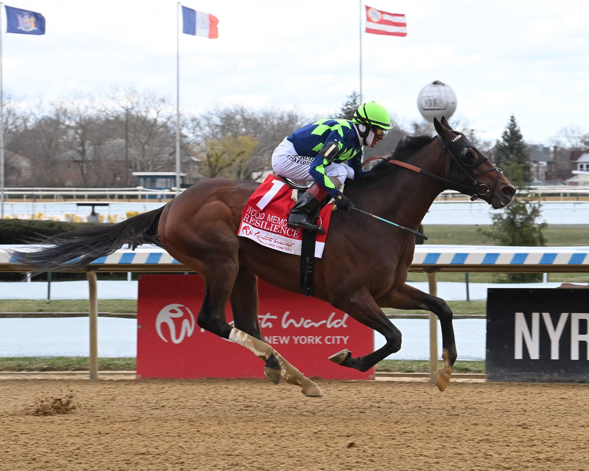 Kentucky Derby Starter Resilience To Enter Stud In Uruguay