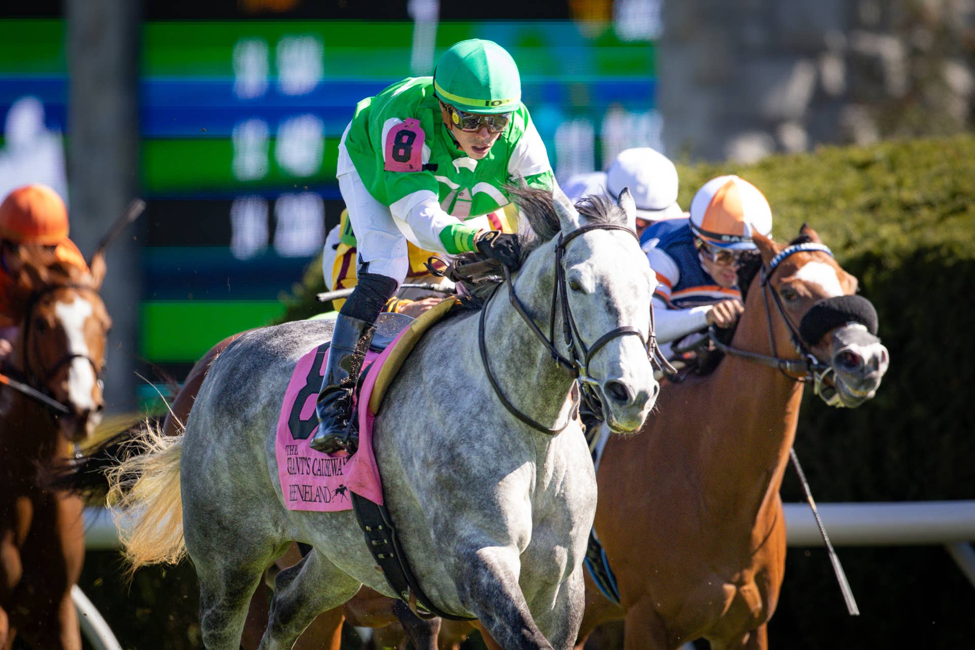 Christophe Clement Sends Out Formidable Duo In Presque Isle Masters ...