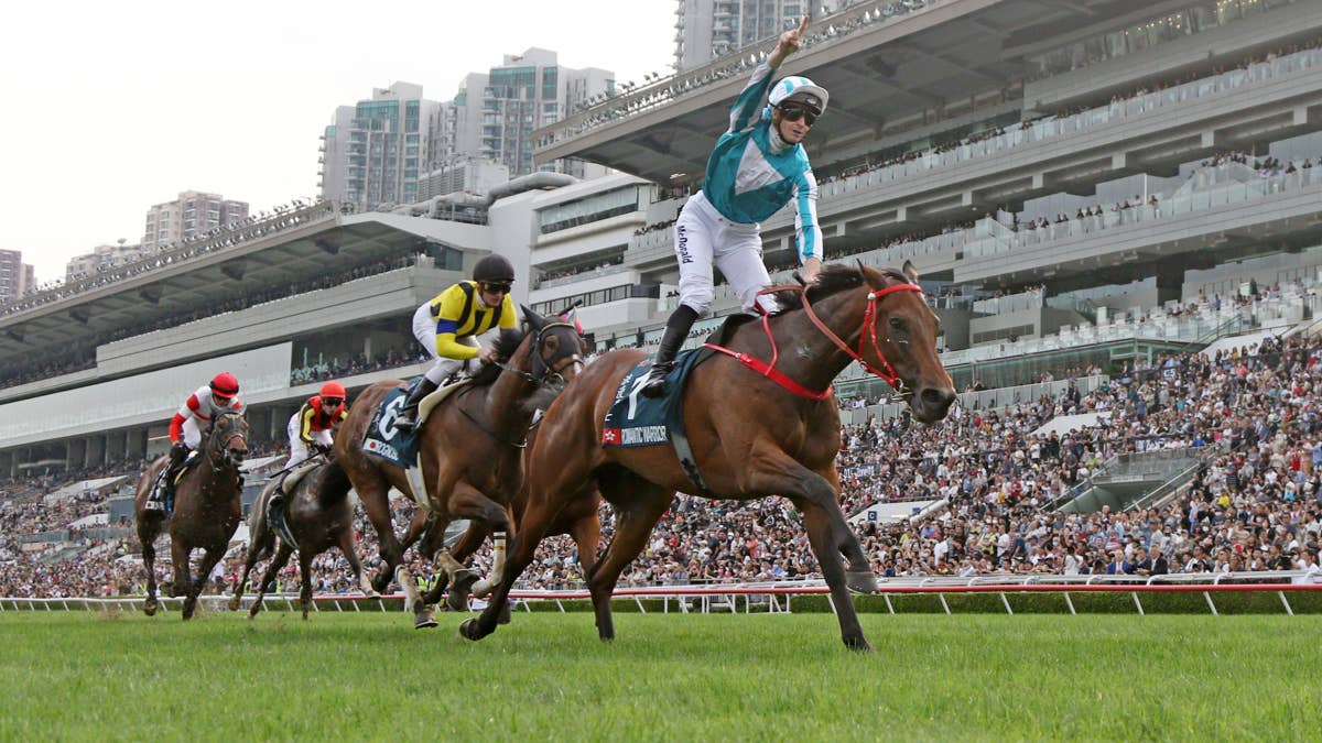 Two-Time Hong Kong Horse Of The Year Romantic Warrior Retired From Racing