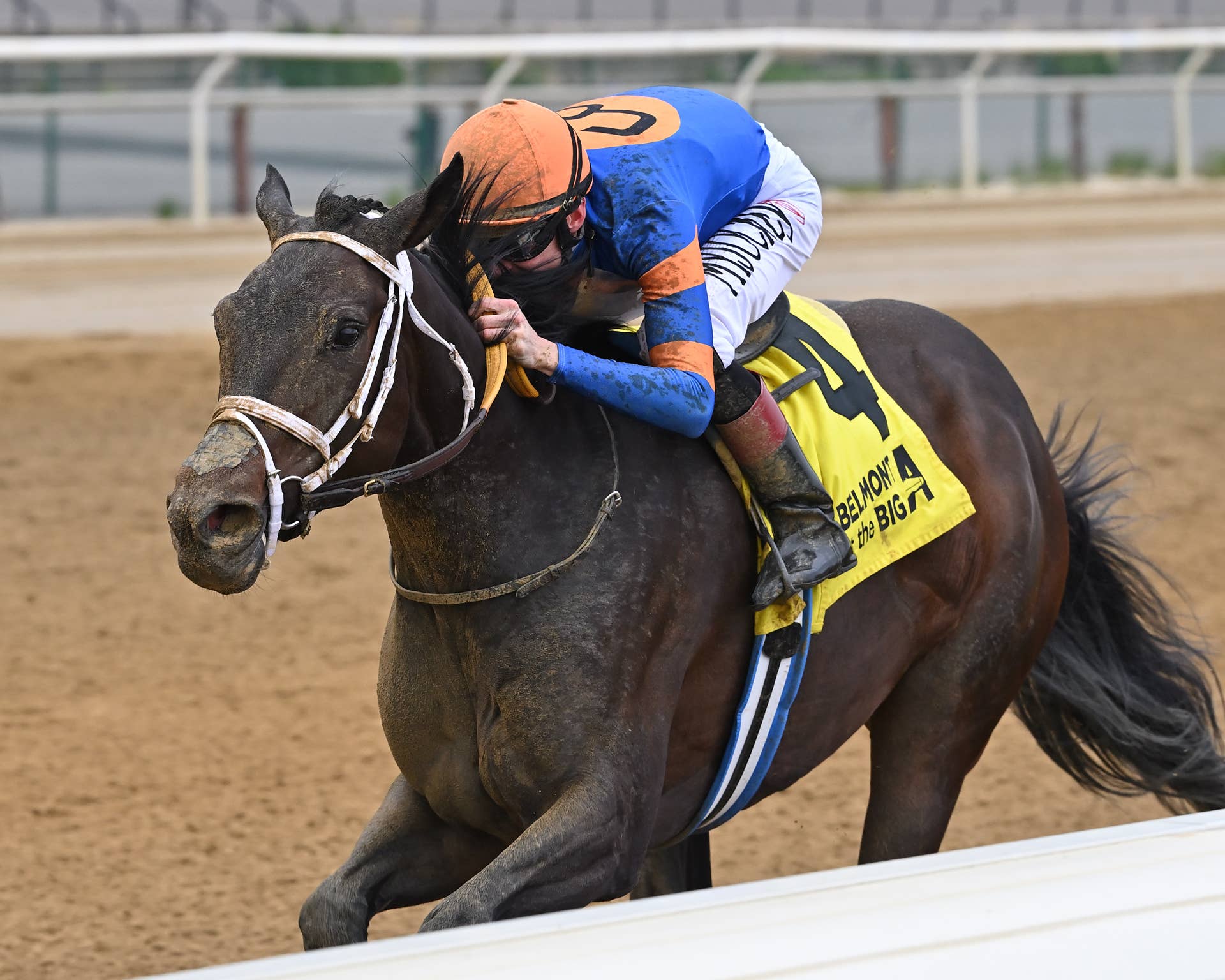 Soul Of An Angel Pulls 24-1 Surprise In G2 Ruffian - Paulick Report