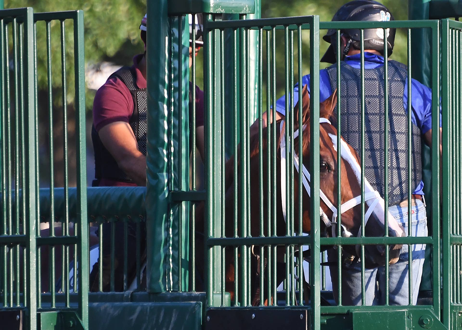 View Stats Ceo Second Quarter Statistics Reinforce Reality That Thoroughbred Racing ...