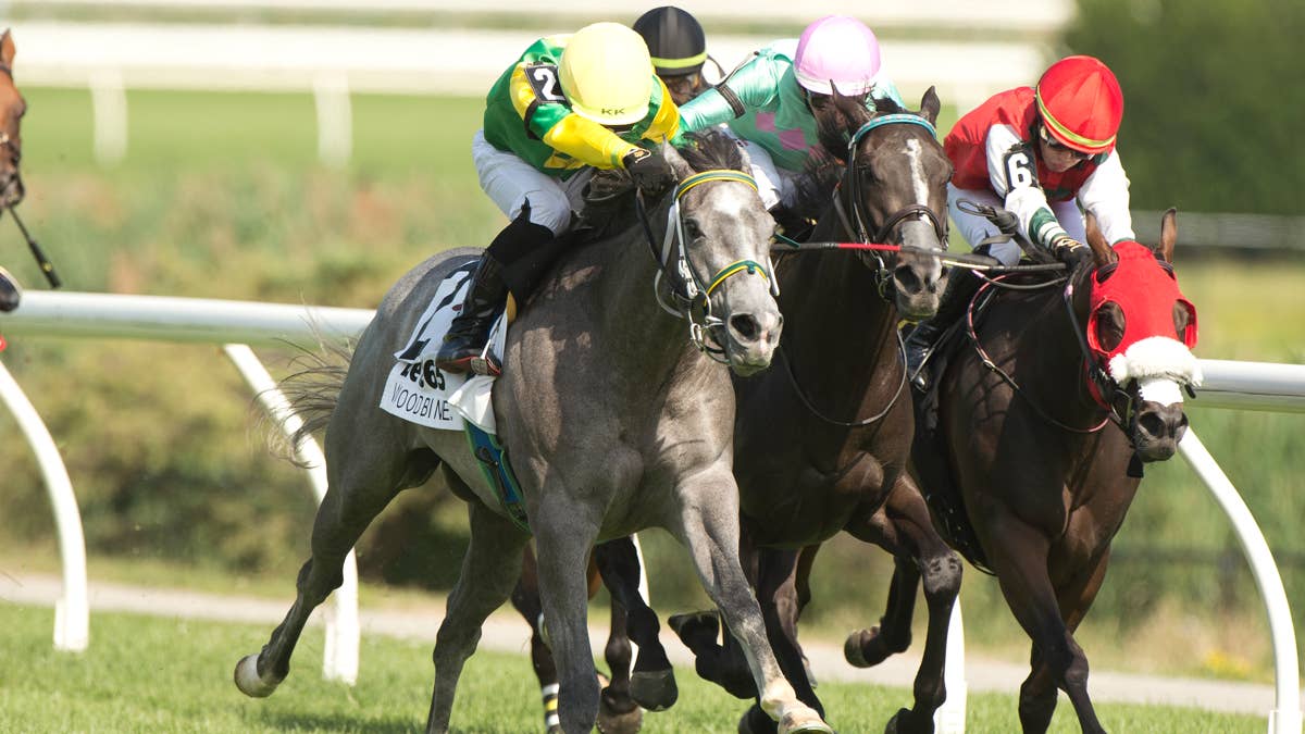 Sovereign Champion Little Teddy Goes For Fourth Stakes Win In Ballade