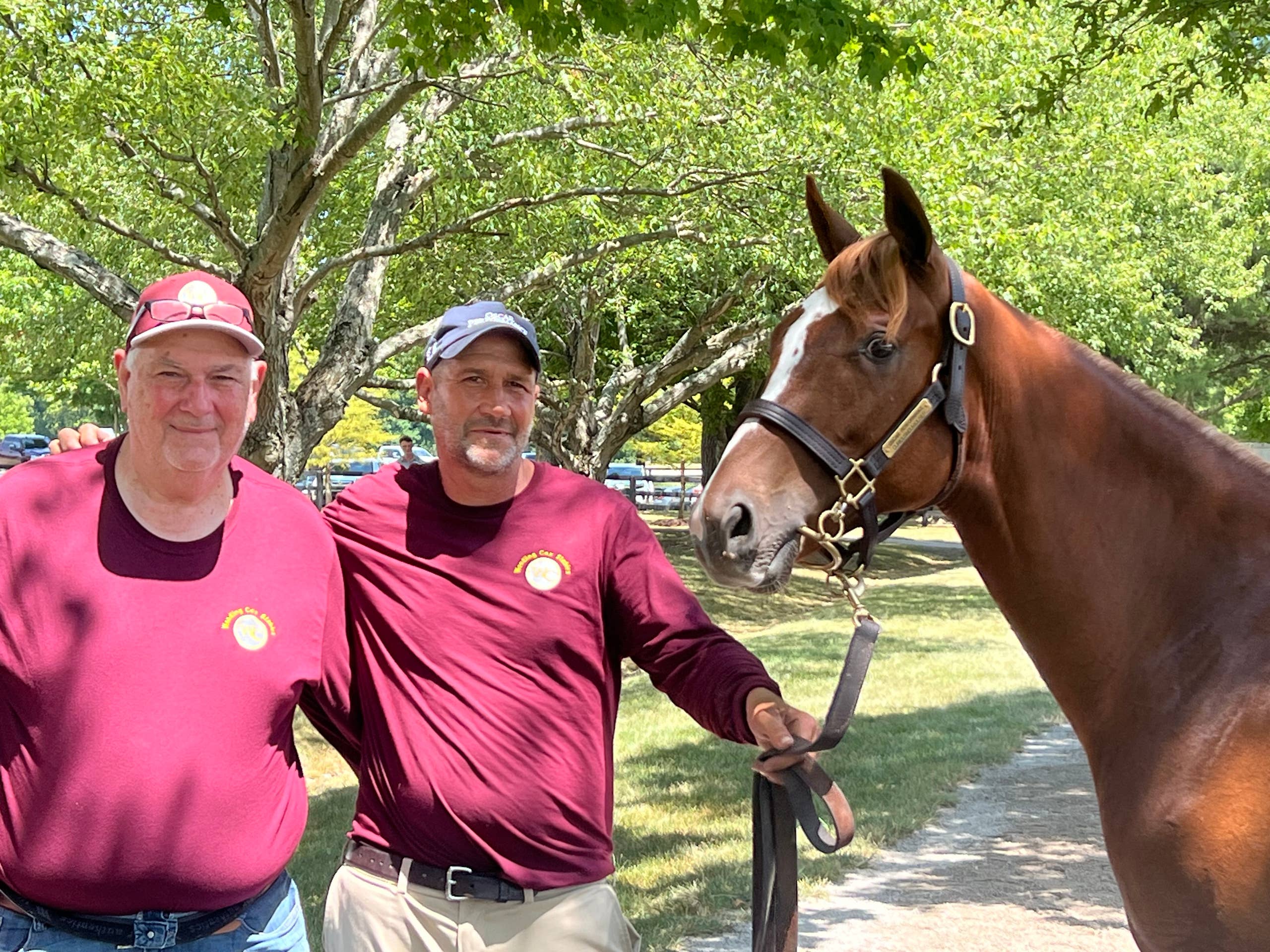 One-Horse Consignment Marked Debut Offering For Wendling Cox Stables At ...