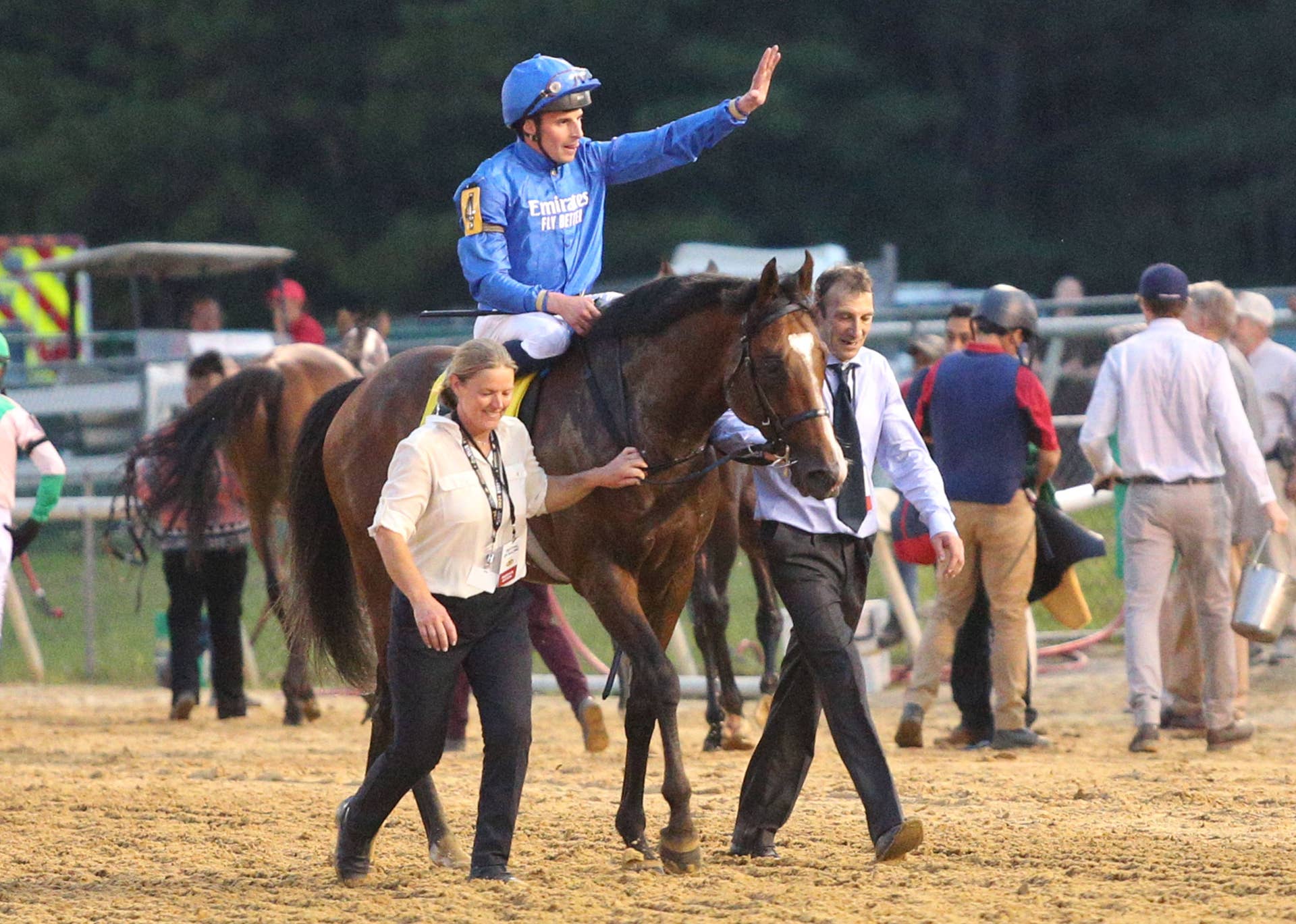 Grade R P Globetrotting Grade 1 Winner Nations Pride Retired To Stud In India ...