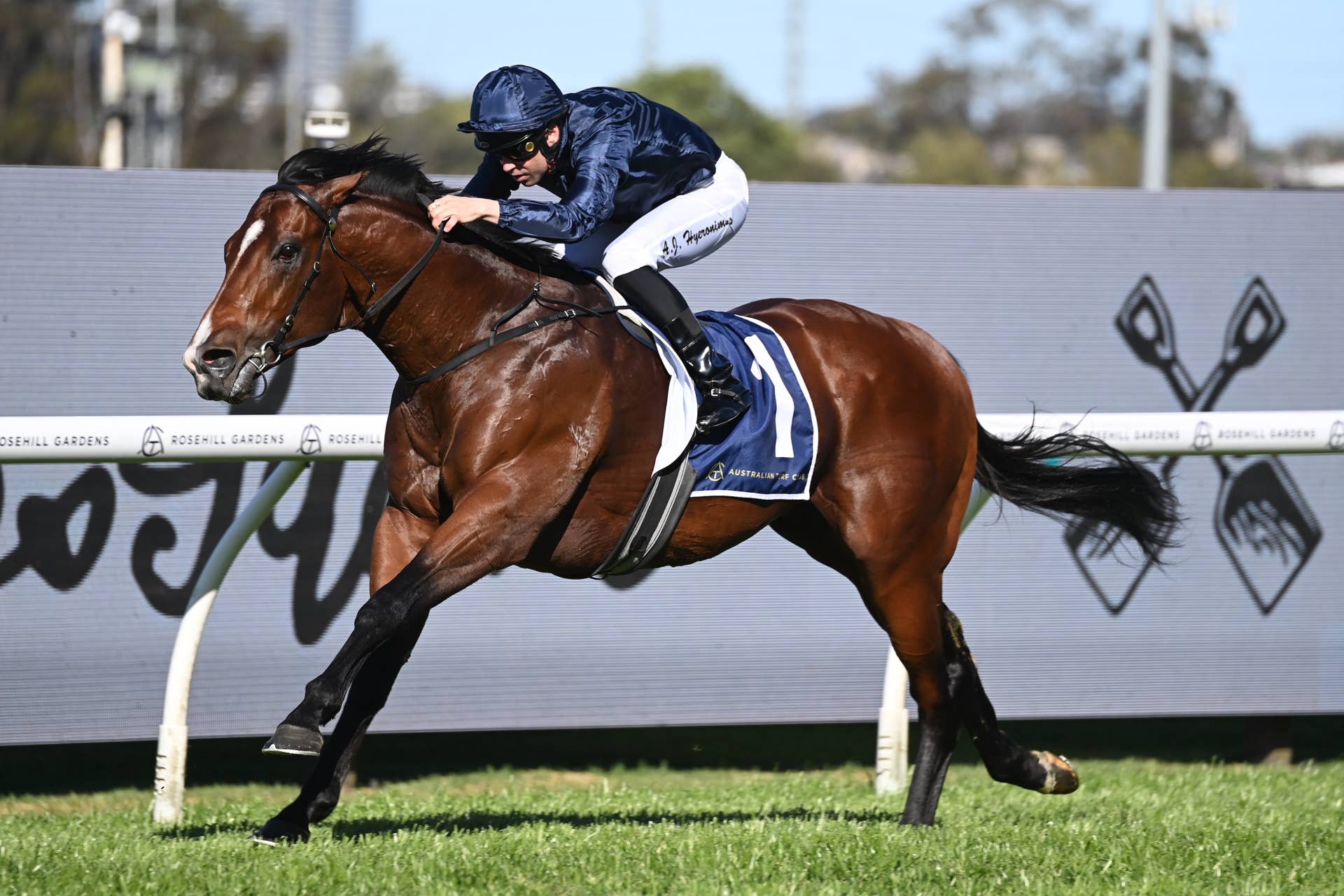 Australia: Justify Colt Storm Boy Battles Godolphin Pair - Paulick Report