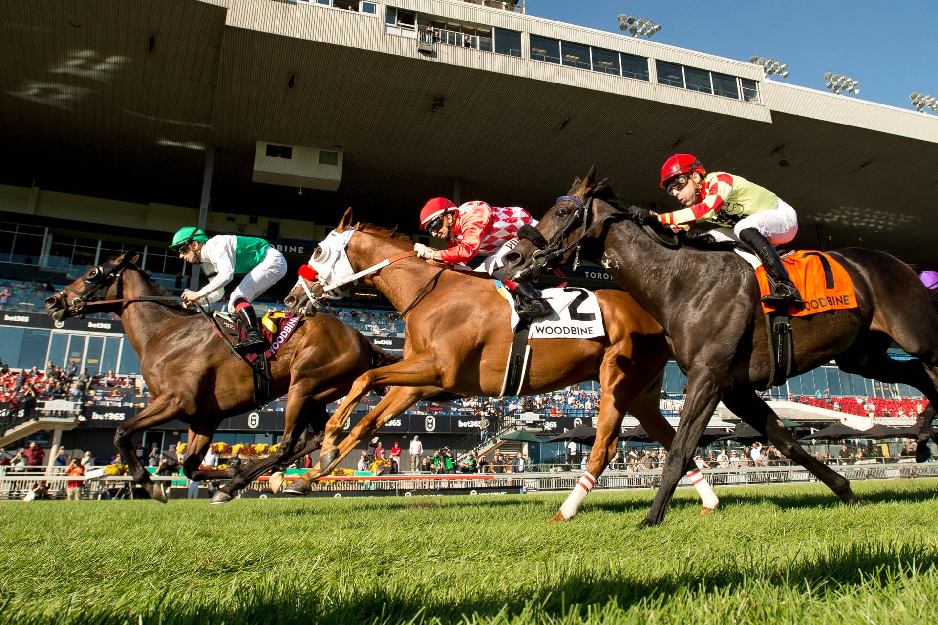 Haiku Handicapper - Paulick Report