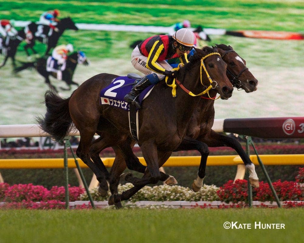 ビジネス・経済 HIT WIN VICTORY II OF HORSE RACE ビジネス・経済 HIT