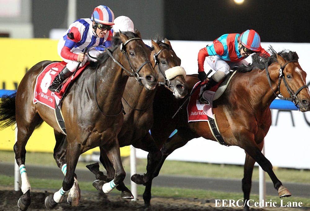 Dubai World Cup Winner Victoire Pisa Sold To Stand In Turkey