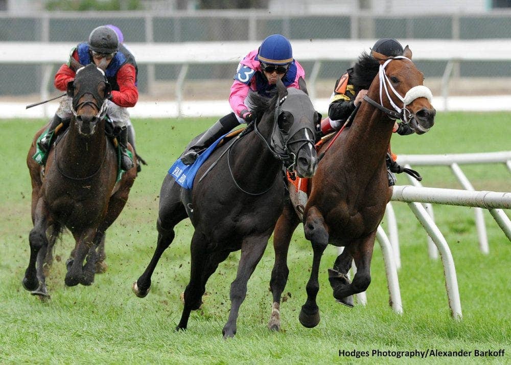 Fair Grounds Horsemen: Churchill Partnership a Dream Turned Nightmare ...