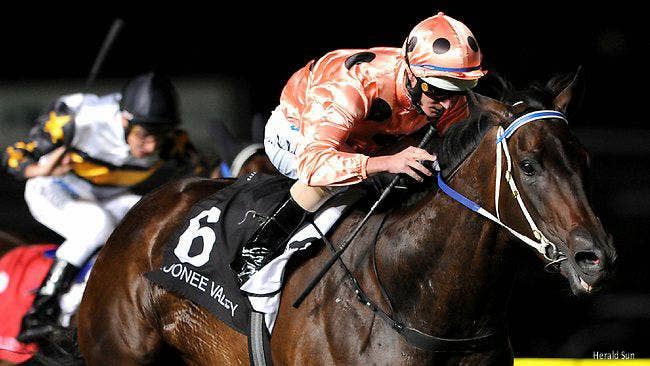 'Simply The Best': Undefeated Australian Icon Black Caviar Dies At Age ...