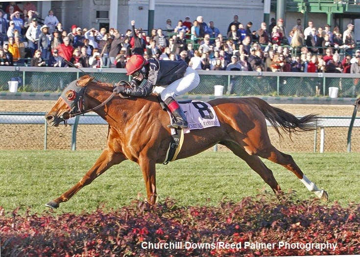 Abaco Prevails in Cardinal Handicap - Paulick Report