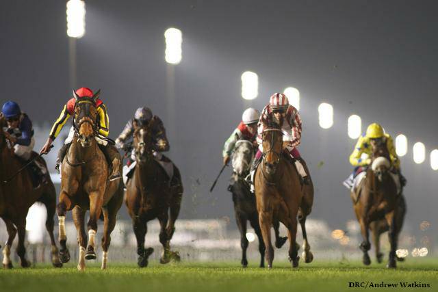 Gentildonna Surges to Victory in Dubai Sheema Classic - Paulick Report