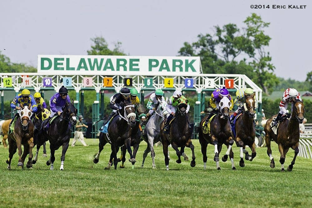 Delaware Park: Saturday's Turf Races Transferred To Main Track As ...