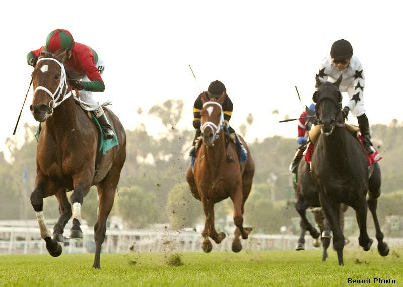 Jerry Raski Horse Racing Photos of the Week: 1.6.14 - Paulick Report