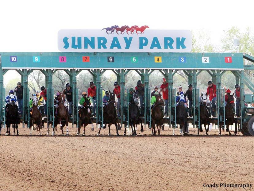 Paulick Report | Latest news and commentary from the horse racing and ...