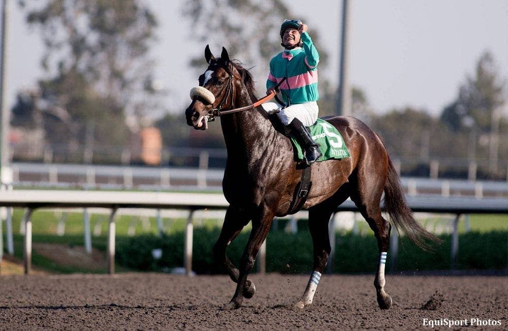 Breeders' Cup To Celebrate Tenth Anniversary Of Zenyatta's Classic