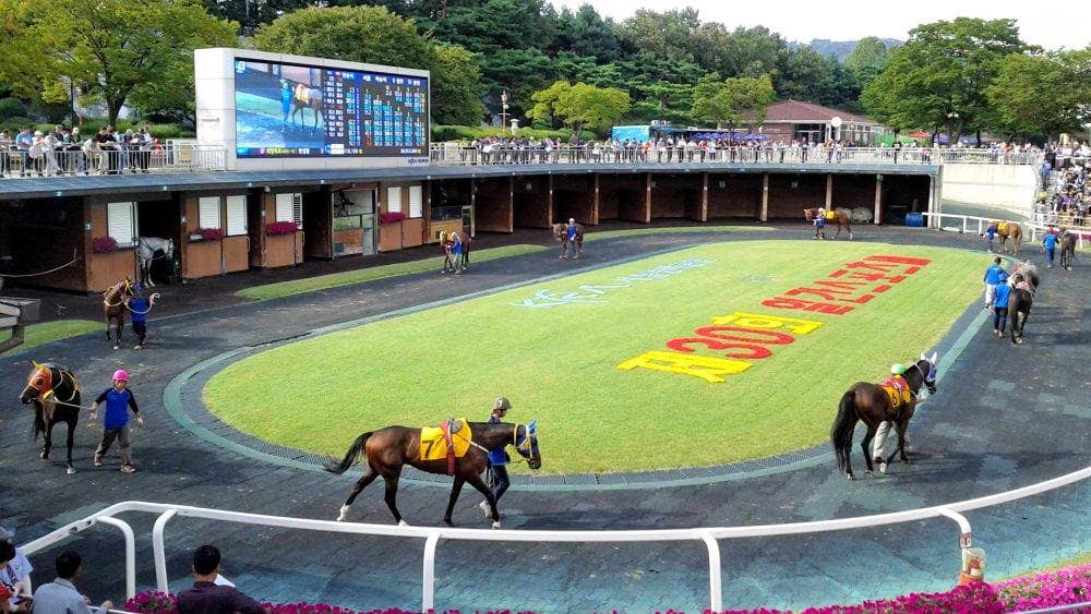 Korean Racing A Winning Bet: South Korean Racing Developing Into A Multi-Billion ...