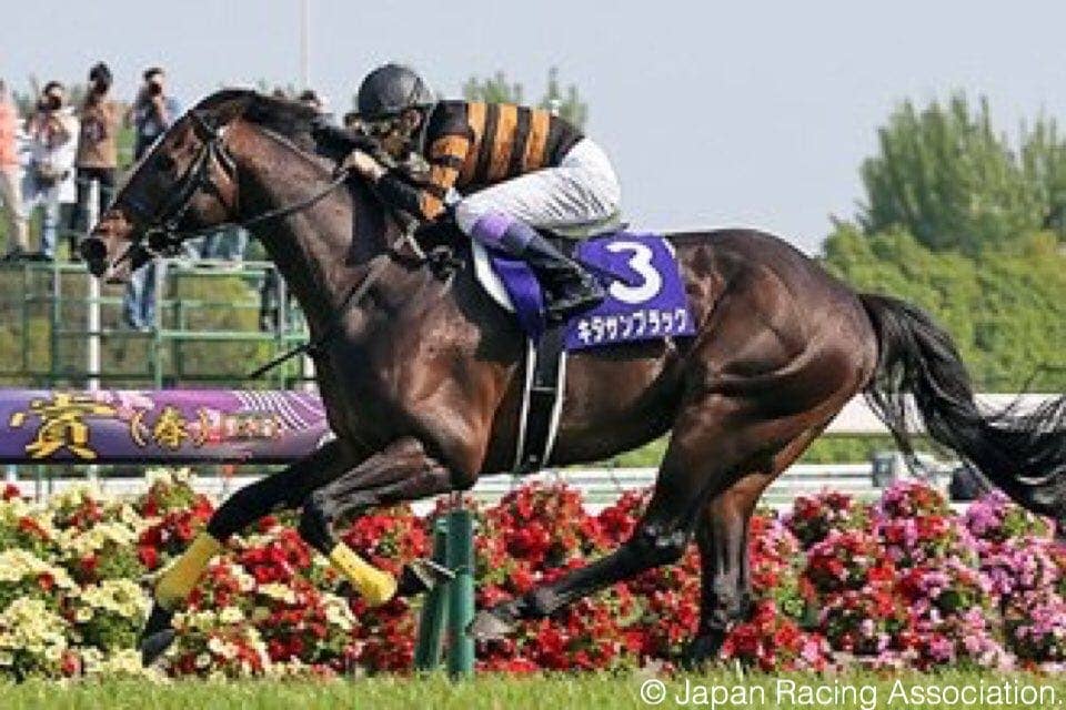 Breeders' Cup Challenge: Kitasan Black In Takarazuka Kinen, Soy