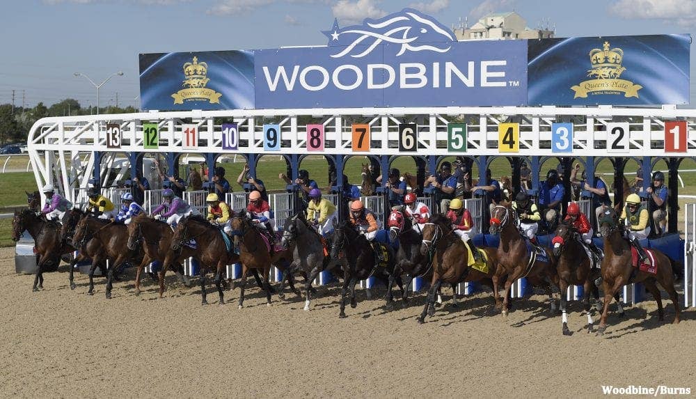 DIRECTV To Offer First Ever Broadcast Of Queen's Plate In 4K - Paulick ...