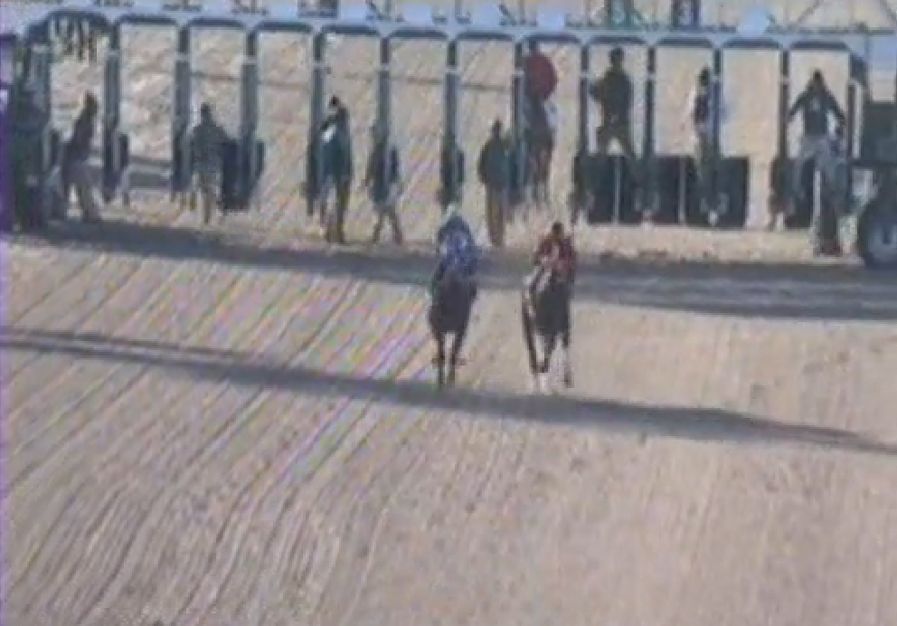 EHV-1 Scare, Shipping Bans Decimate Fields At Louisiana Racetracks ...