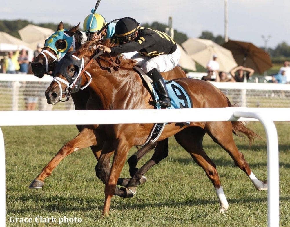 Channel Cat Stallion Channel Cat Taking Cut In Distance For Grade 2 Fort Lauderdale ...