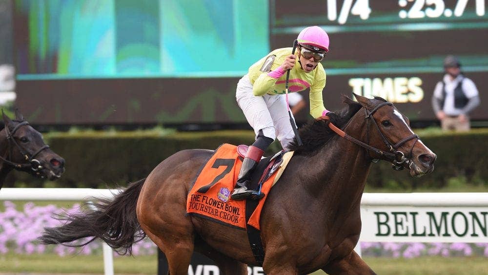 Grade 1 Winner Fourstar Crook Dies In Japan At Age 14
