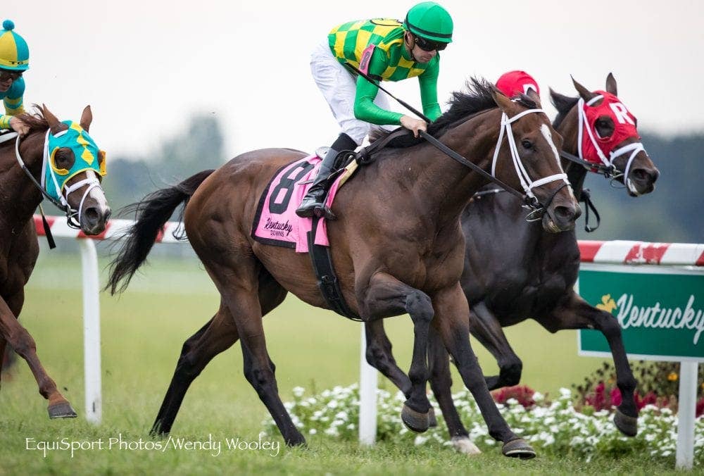 'He Likes It': 8YO Arklow To Make Fifth Kentucky Turf Cup Start ...