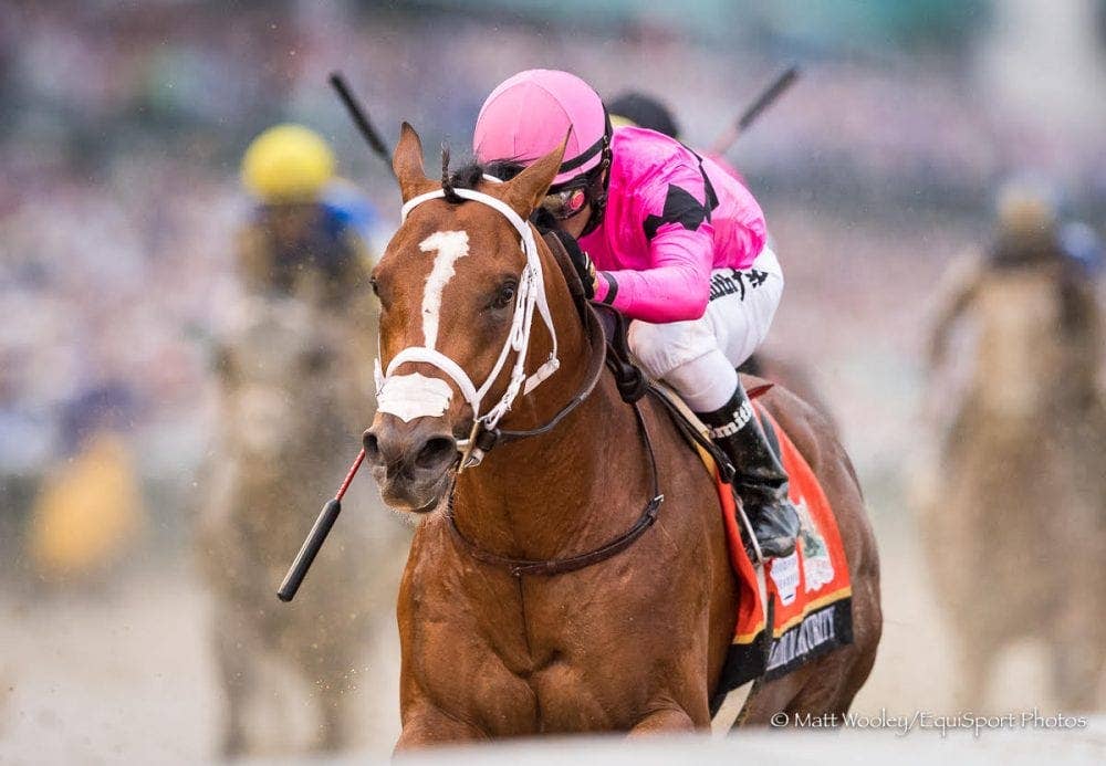 Horse Racing Crops California Horse Racing Board Votes To Limit Whip Use, Mandate New Foam ...
