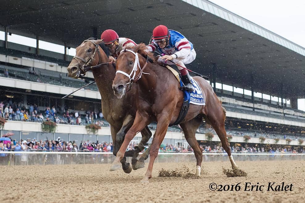 Practical Joke Overcomes Poor Start To Win Champagne By A Nose ...