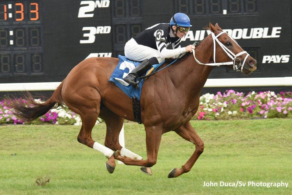 Time Tofly Racing Fast Flying Rumor’s Blazing Speed More Than Hearsay In Turf Dash Win ...