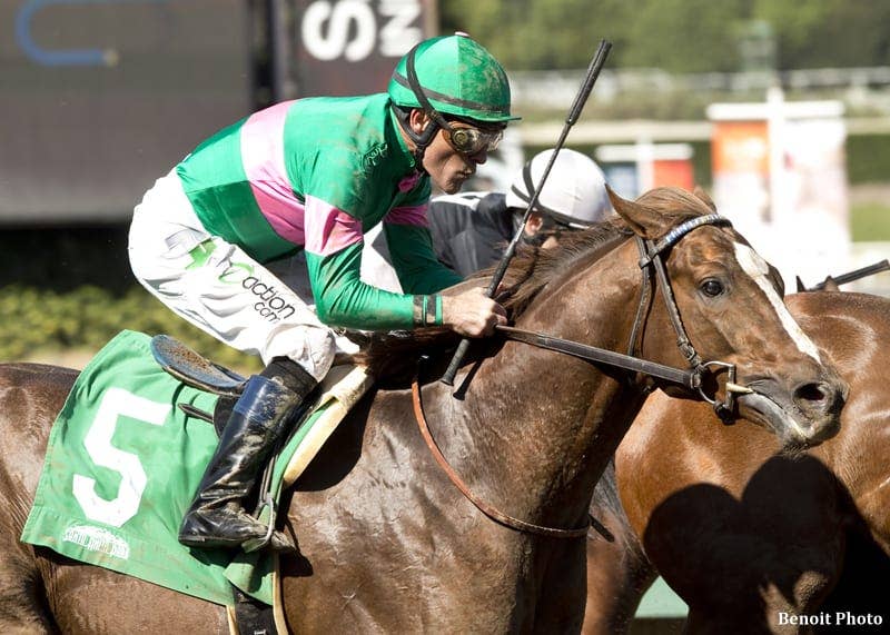 Ziconic To Make Second Career Start Friday - Paulick Report