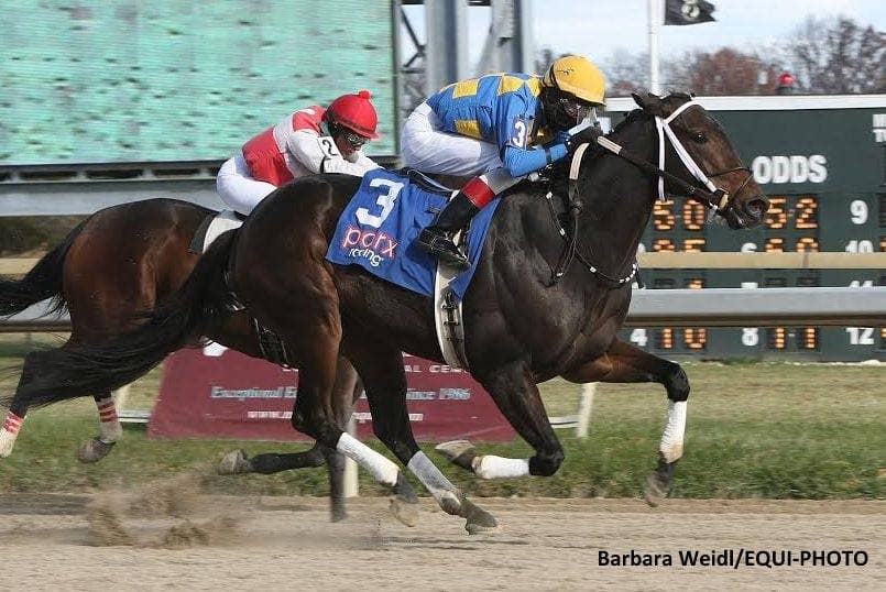 Jack Macarthy Racing McCarthy Rides Five Winners At Parx Tuesday - Paulick Report