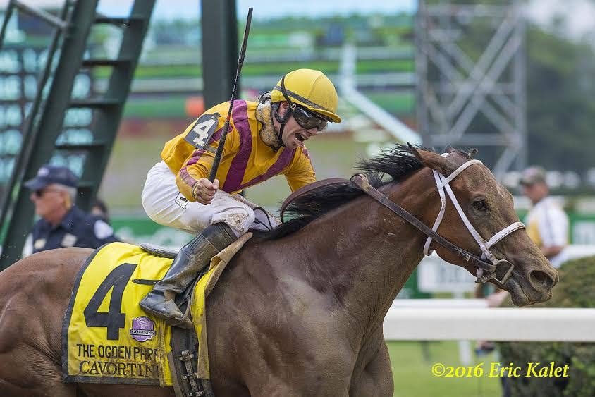 Cavorting Dominates Deep Field In Ogden Phipps - Paulick Report