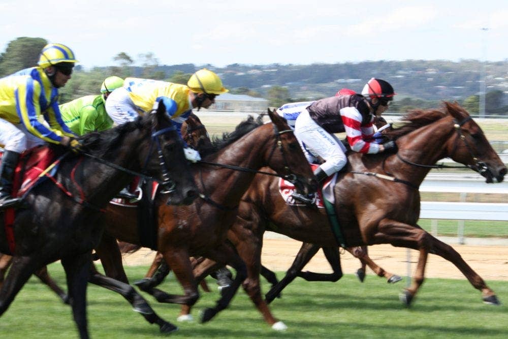 Australia: With $10M Purse, 'The Everest' To Eclipse Melbourne Cup As ...