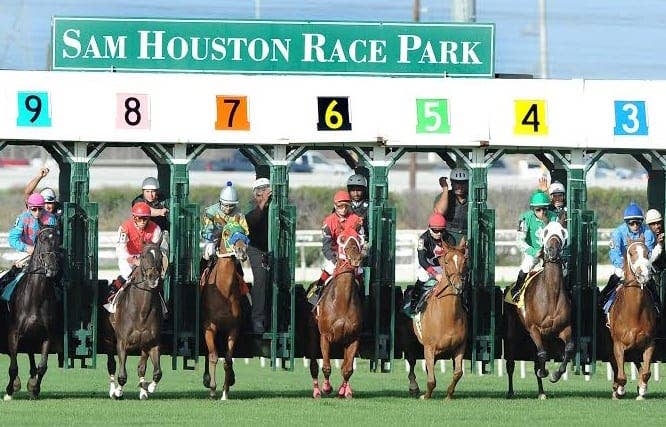 Ostrich Racing Houston