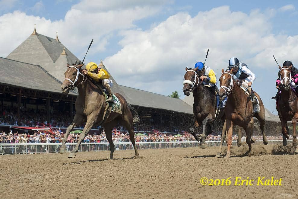 Cavorting Last-To-First In Personal Ensign - Paulick Report
