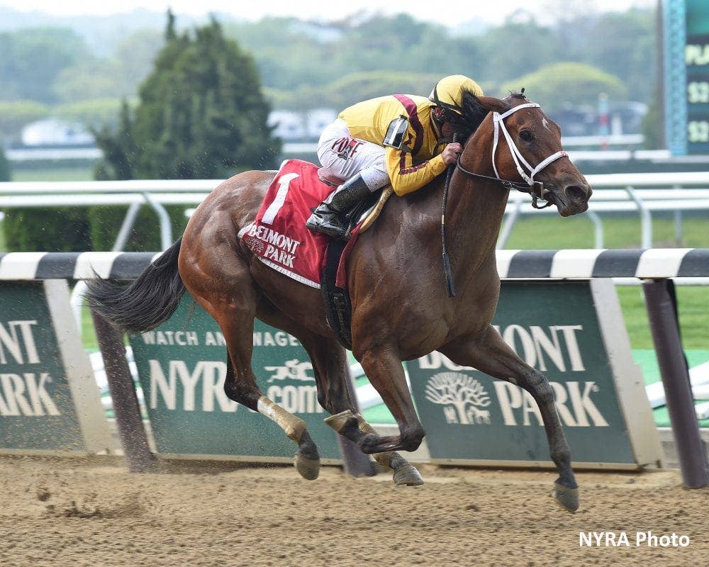 Cavorting Dominates Competition In Ruffian - Paulick Report