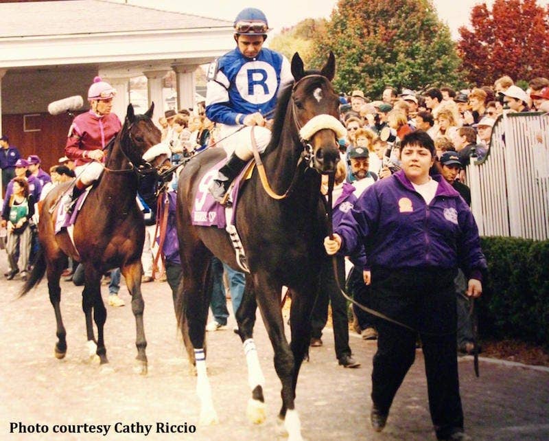Farewell To Cherokee Run, A Breeders' Cup Champion Known As