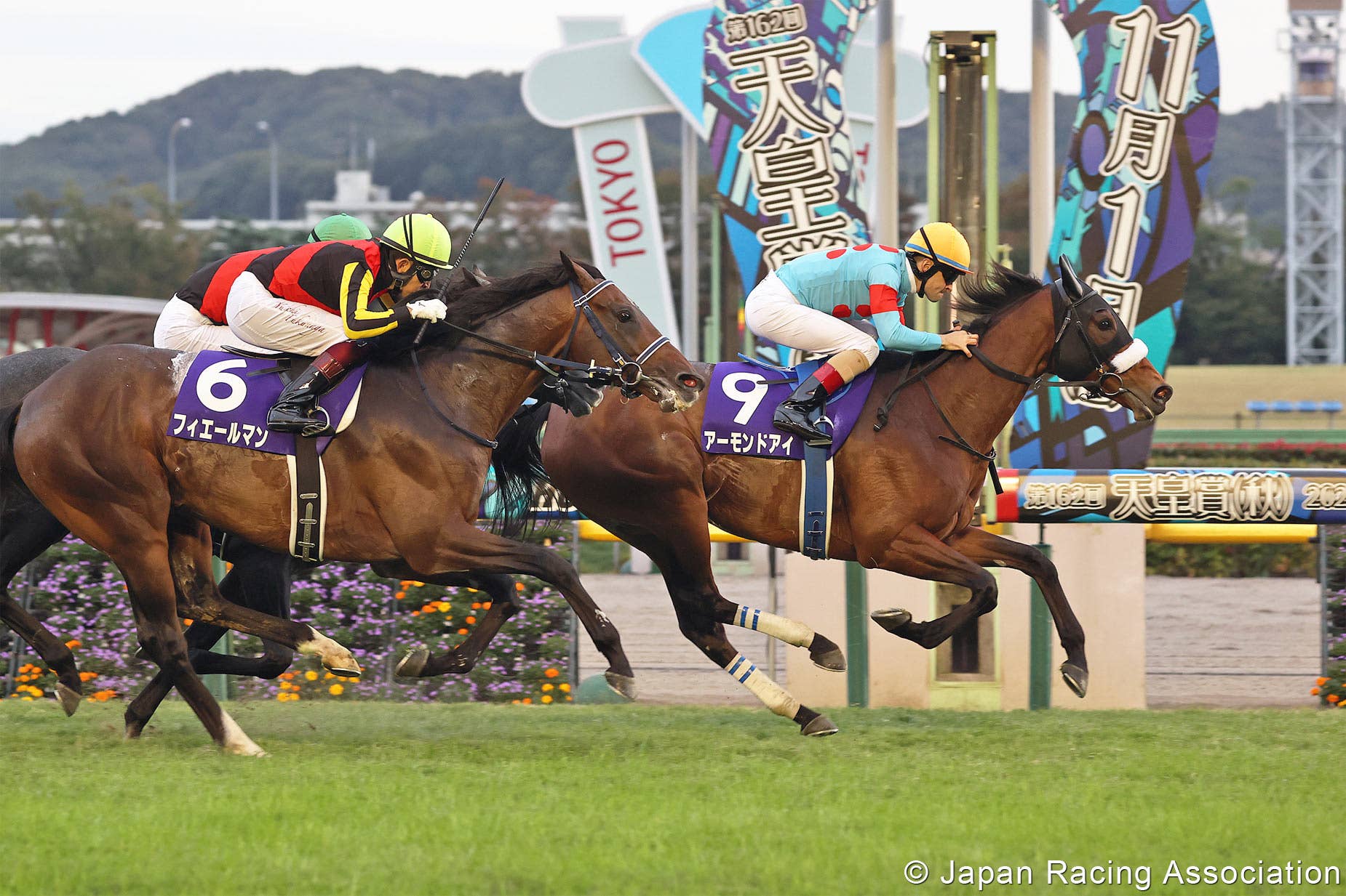 アーモンドアイ アーモンドアイ Almond Eye First Japanese Horse To Capture Eight