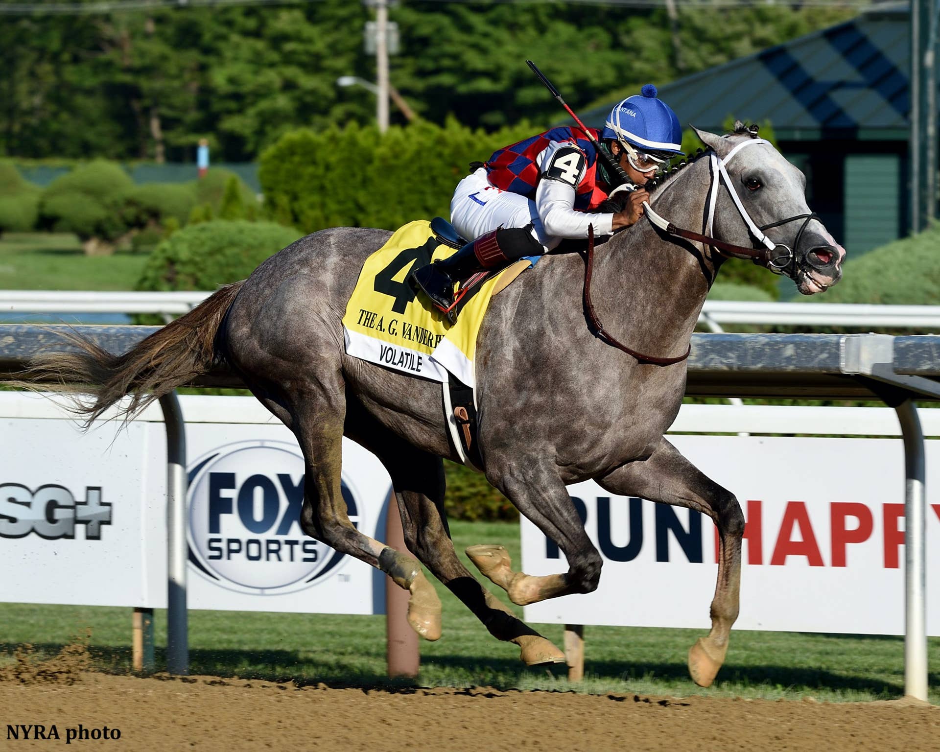 Volatile Stallion Grade 1 Winner Volatile Retired To Three Chimneys For 2021 Breeding ...