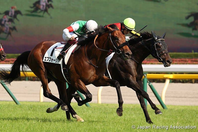 Shahryar Packs Powerful Late Punch To Win Japanese Derby By A Nose ...